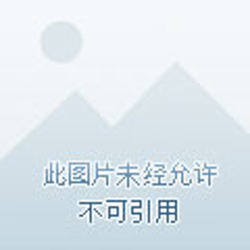 现货交易行业最新动态：把握市场机遇